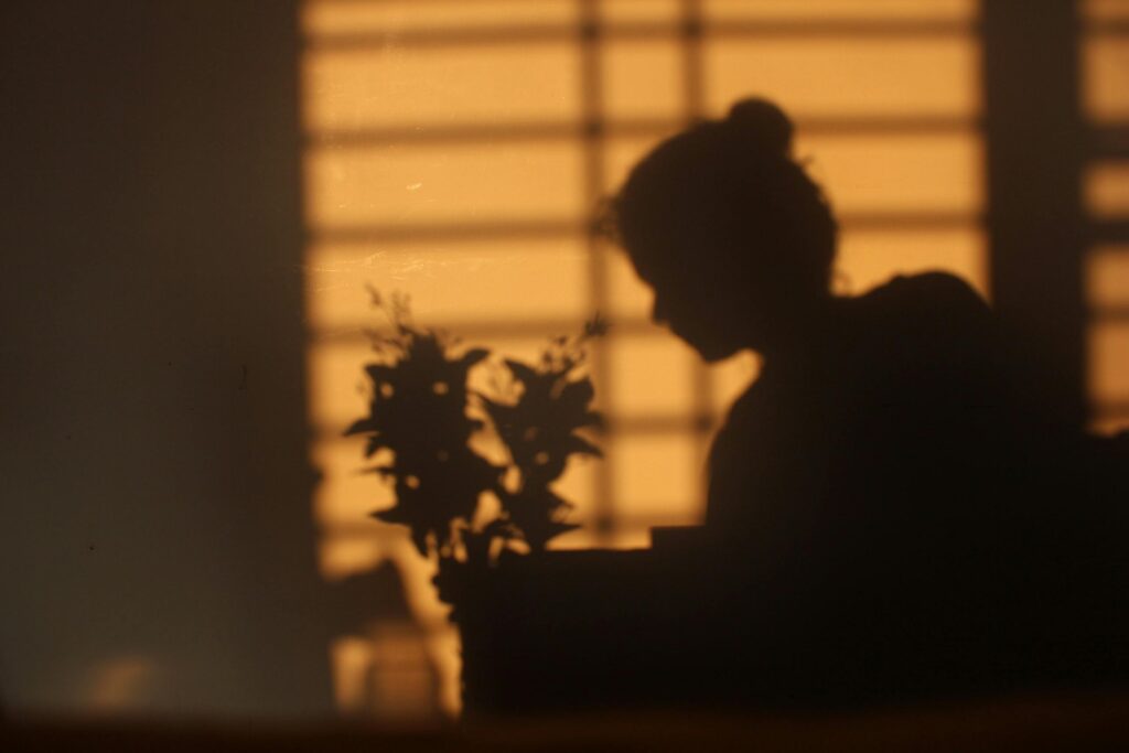 Artistic silhouette of a person and a plant creating moody shadows on a wall at sunset.