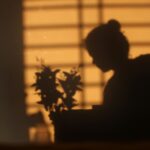 Artistic silhouette of a person and a plant creating moody shadows on a wall at sunset.